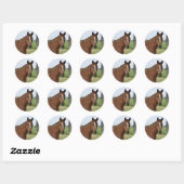 Sticker Rond Cheval près de l'arbre (Feuille)