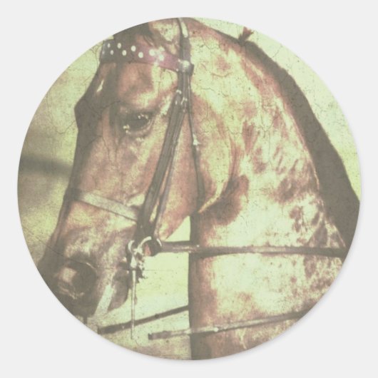 Sticker Rond Cheval saddlebred (Devant)