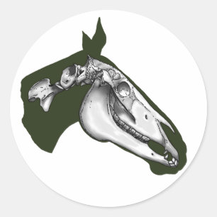 Sticker Rond Cheval Squelette
