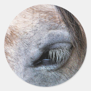 STICKER ROND CHEVAUX