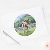 STICKER ROND CHEVAUX (Enveloppe)