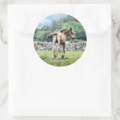 STICKER ROND CHEVAUX (Sac)