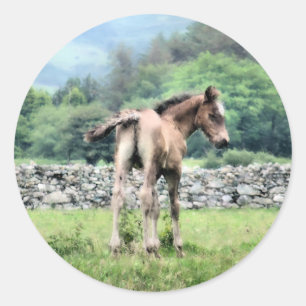 STICKER ROND CHEVAUX