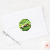 STICKER ROND CHEVAUX (Enveloppe)