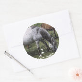 Sticker Rond Chevaux (Enveloppe)
