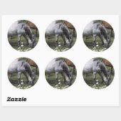 Sticker Rond Chevaux (Feuille)