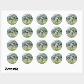 STICKER ROND CHEVAUX (Feuille)