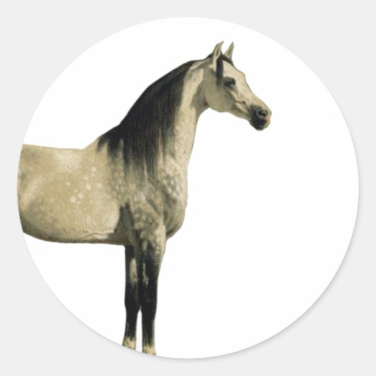 Sticker Rond Chevaux antiques - Arabe (Devant)