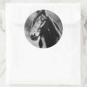 Sticker Rond Chevaux Apache (Sac)