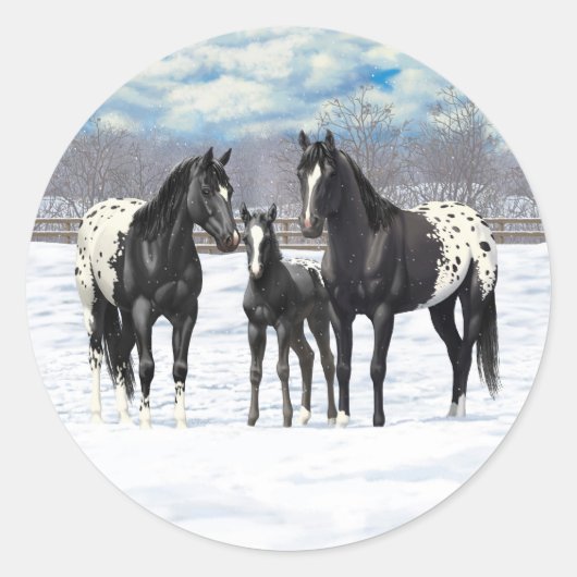 Sticker Rond Chevaux Appaloosa Noir En Neige (Devant)