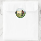 Sticker Rond Chevaux/Cabalos/Horses (Sac)