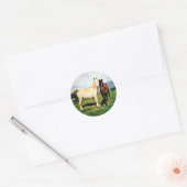 Sticker Rond Chevaux/Cabalos/Horses (Enveloppe)