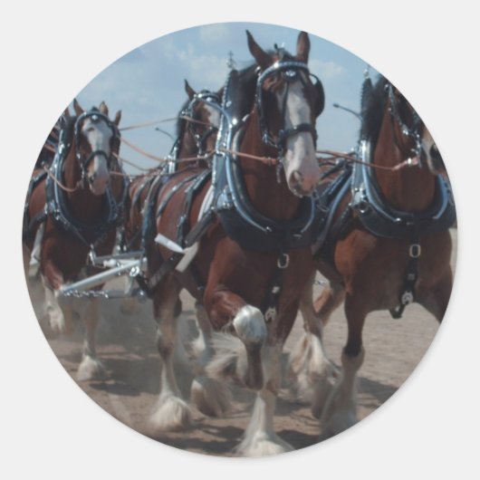 Sticker Rond Chevaux Clydesdale (Devant)