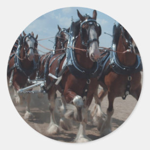 Sticker Rond Chevaux de Clydesdale