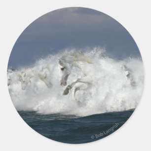 Sticker Rond Chevaux de Imaginaire : Mer