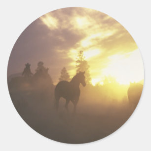 Sticker Rond Chevaux d'élevage au coucher du soleil