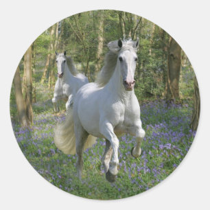 Sticker Rond Chevaux d'Imaginaire : Bois de Bluebell