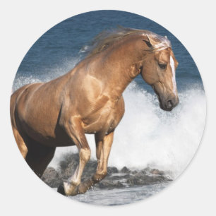 Sticker Rond Chevaux d'imaginaire : Éclaboussure d'été