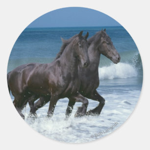 Sticker Rond Chevaux d'Imaginaire : Friesians & Sea