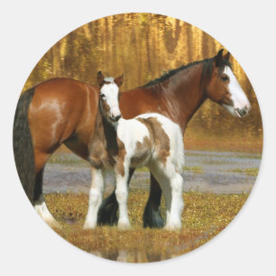 Sticker Rond Chevaux d'Imaginaire : Mare & Foal