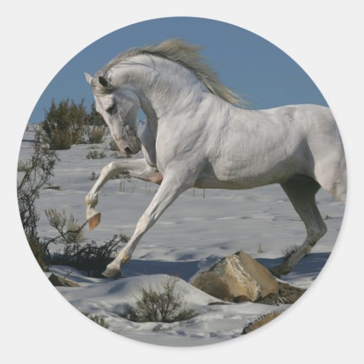 Sticker Rond Chevaux d'Imaginaire : Roi de neige (Devant)