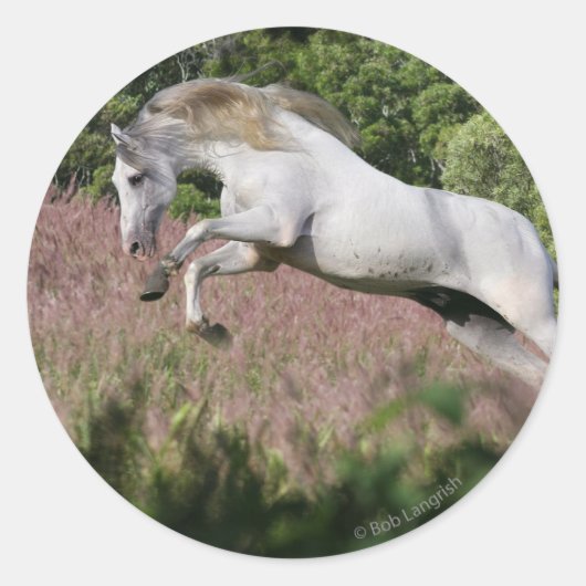 Sticker Rond Chevaux d'Imaginaire : Spring Gallop (Devant)