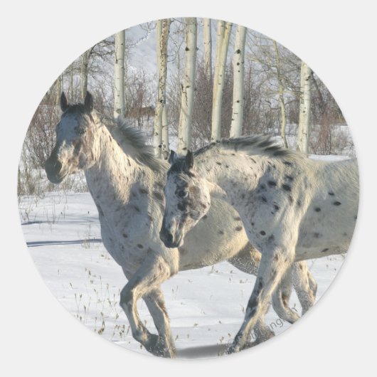 Sticker Rond Chevaux d'Imaginaire : Wonderland d'hiver (Devant)