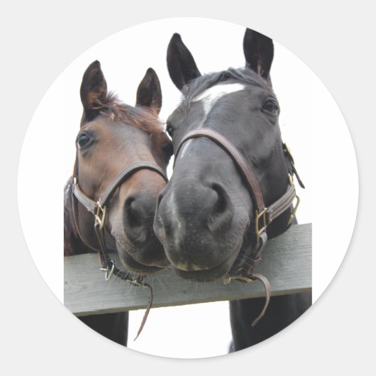 Sticker Rond Chevaux en amour (Devant)