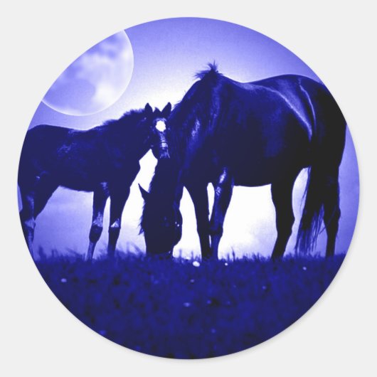 Sticker Rond Chevaux en Nuit Bleue (Devant)