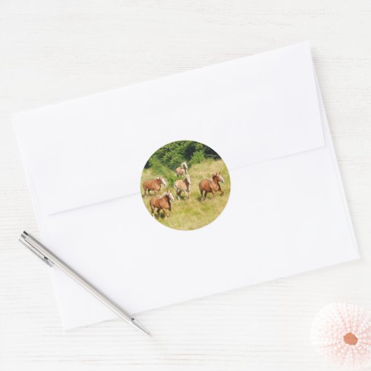 Sticker Rond Chevaux en pelage (Enveloppe)