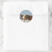 Sticker Rond Chevaux miniatures debout dans la neige (Sac)
