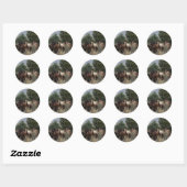 Sticker Rond Chevaux Mustang Sauvages 2 (Feuille)