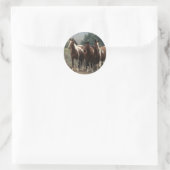 Sticker Rond Chevaux Mustang Sauvages 7 (Sac)