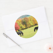 Sticker Rond Chevaux noirs en automne (Enveloppe)