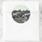 Sticker Rond Chevaux traversant l'eau (Sac)