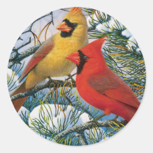 Sticker Rond Chic Beau Cardinal Rouge Et Noël De Neige