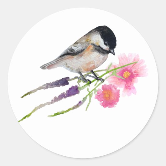 Sticker Rond Chickadee Black Capped Art (Devant)