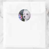 Sticker Rond Chien 82 Westie (Sac)