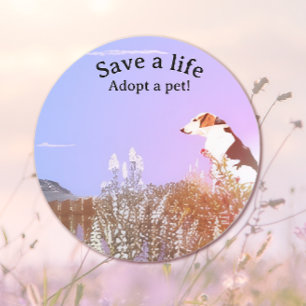 Sticker Rond Chien attendant sa Famille