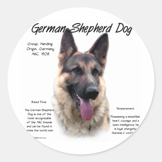 Sticker Rond Chien berger allemand (sable) Histoire Conception (Devant)