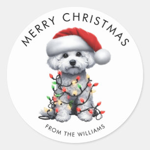 Sticker Rond Chien Bichon Frise Enveloppé Dans Une Lumière De N