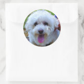 Sticker Rond Chien blanc (Sac)