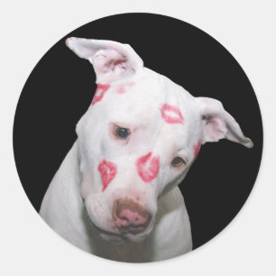 Sticker Rond Chien blanc amoureux, Scellé avec baisers en bâton