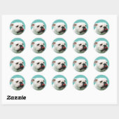 Sticker Rond Chien blanc mignon Bulldog (Feuille)
