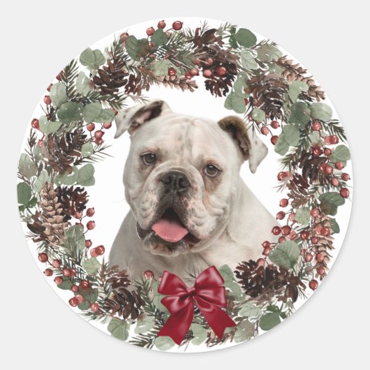 Sticker Rond Chien blanc Pinecone Wreath Noël (Devant)