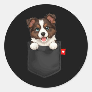 Sticker Rond Chien Border Collie dans un Poc regardant mignon c