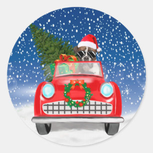 Sticker Rond Chien Boxer Conduisant une Voiture dans la Neige N