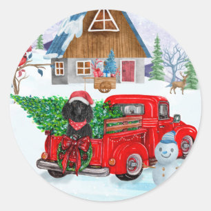 Sticker Rond Chien caniche dans un camion de livraison de Noël 