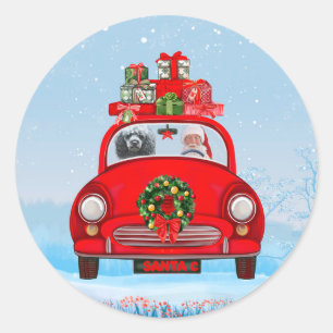 Sticker Rond Chien caniche dans une voiture avec le Père Noël  