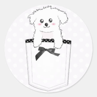 Sticker Rond Chien chiot de poche mignon